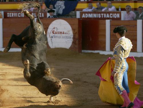 toro volador